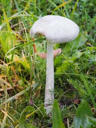 202410-Herfst-22