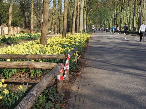 202503-Rivierenhof-03