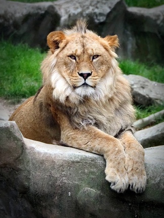 202505-Zoo-06