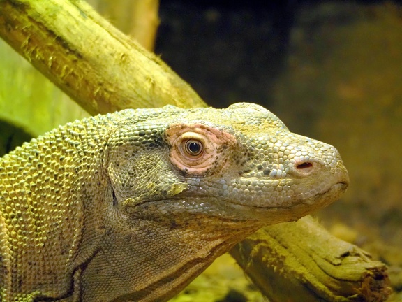 202505-Zoo-08