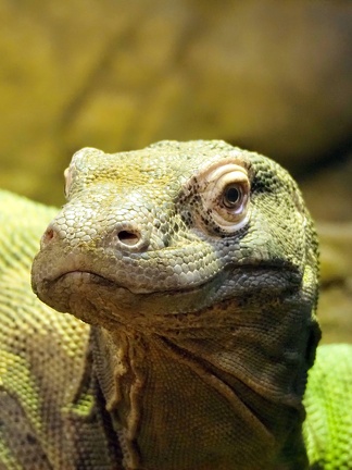 202505-Zoo-09