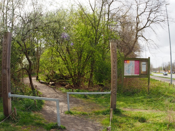 202503-Berchem23