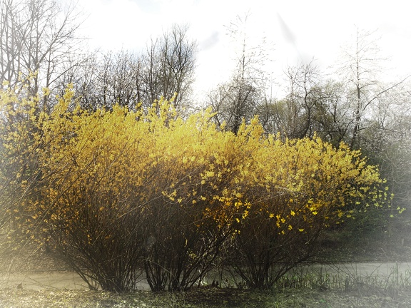 202503-Berchem27