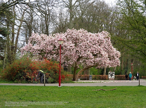 202503-Berchem33