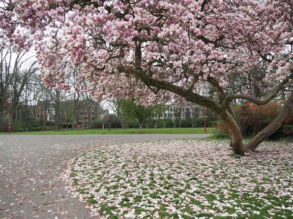 202503-Berchem34