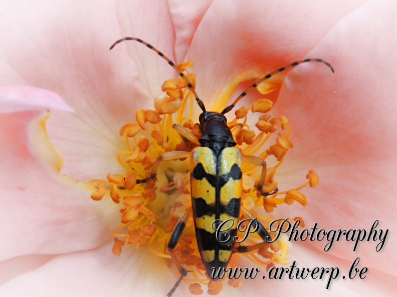 20230813_Macro_10.jpg