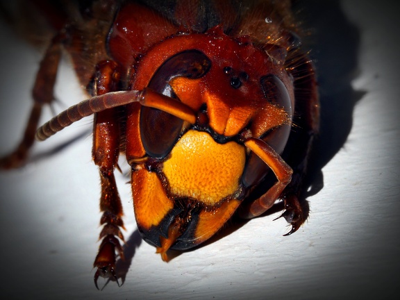 202505-Macro-07