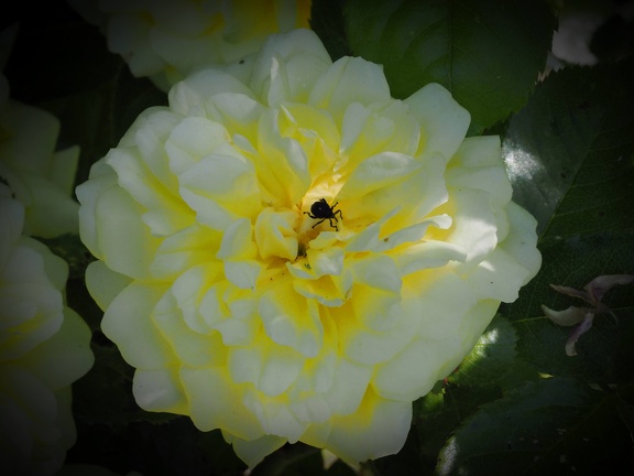202505-Macro-08