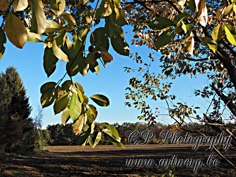 Wouwse_Plantage_202211_14.jpg