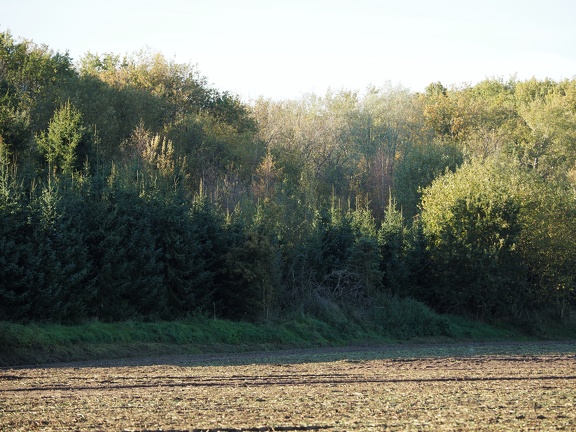 Wouwse Plantage 202211 19