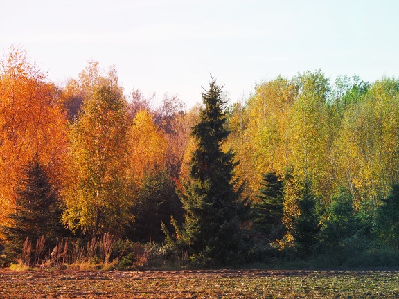 Wouwse Plantage 202211 22