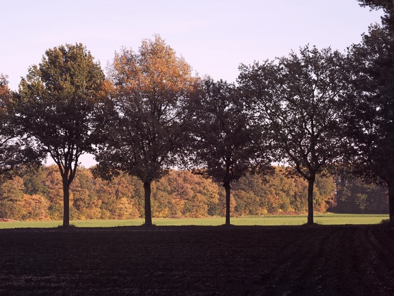 Wouwse Plantage 202211 23