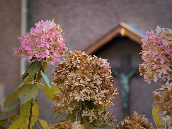 Wouwse Plantage 202211 27