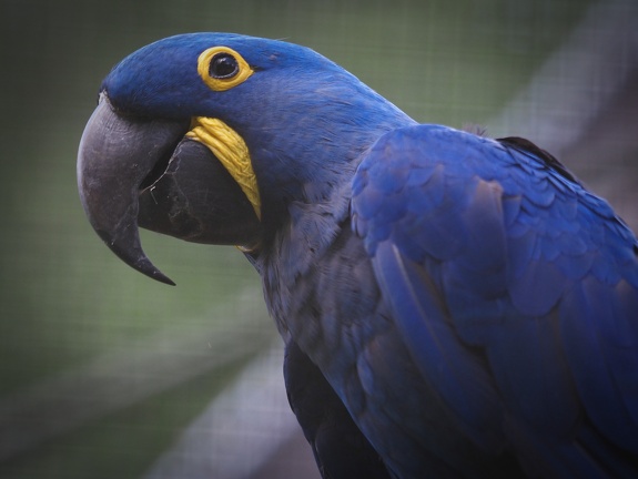202408-Zoo Antwerpen-09