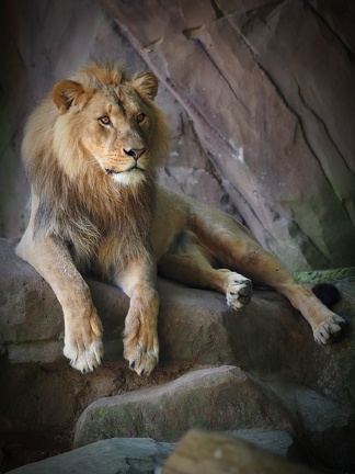 202408-Zoo Antwerpen-19