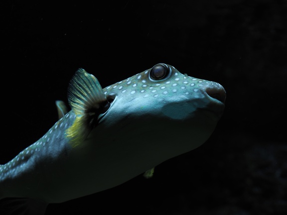 202501-Zoo Antwerpen-09