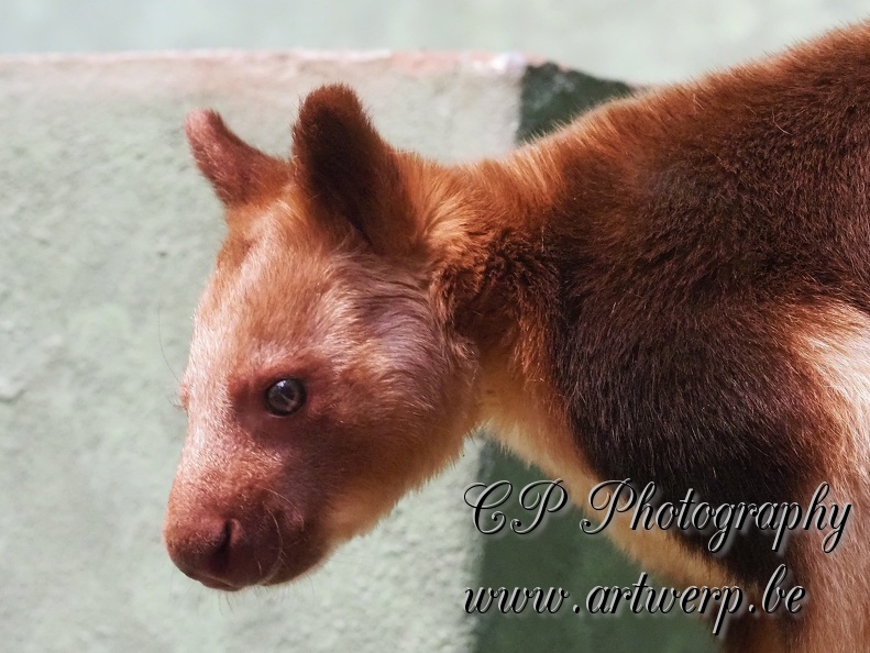 202504-Zoo-01.jpg