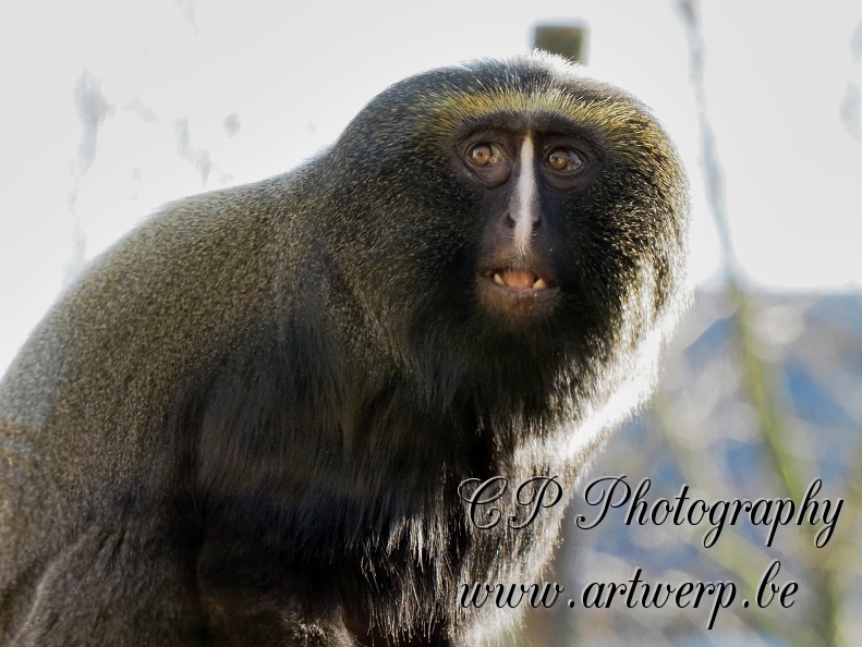 202504-Zoo-04.jpg