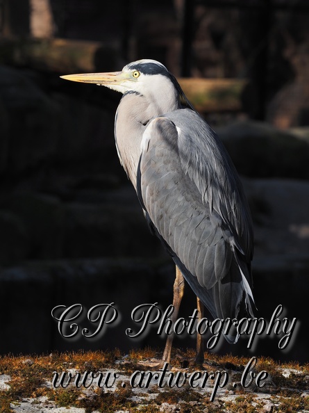 202504-Zoo-07.jpg
