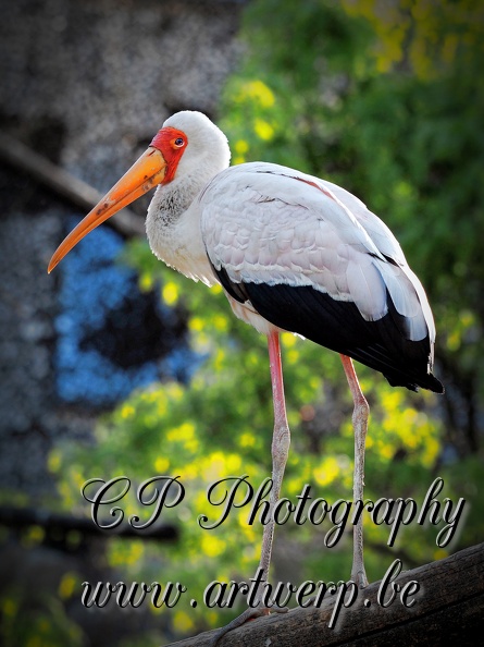 202504-Zoo-14.jpg