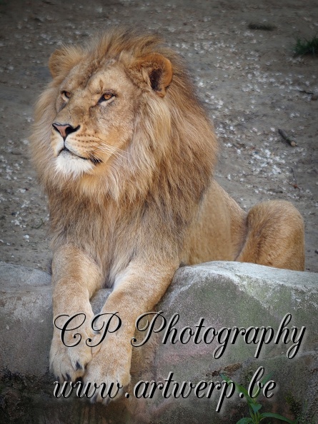 202504-Zoo-16.jpg
