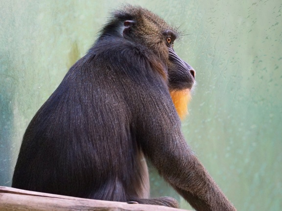 Zoo 20230827-03